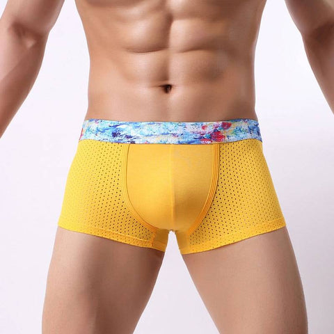 Boxer Colors Yellow