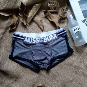 Boxer AUSSIEBUM C Gris