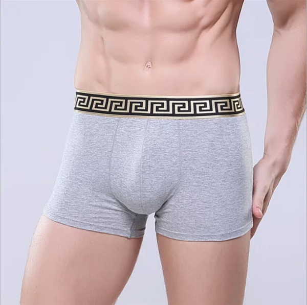 Boxer Men Sexy Gray