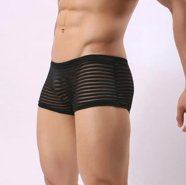 Transparent Black Striped Boxer