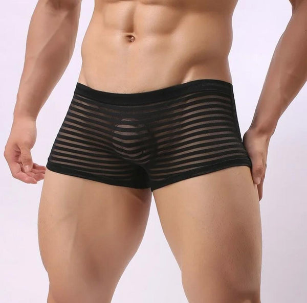 Transparent Black Striped Boxer