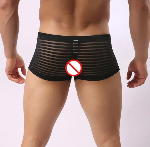 Transparent Black Striped Boxer