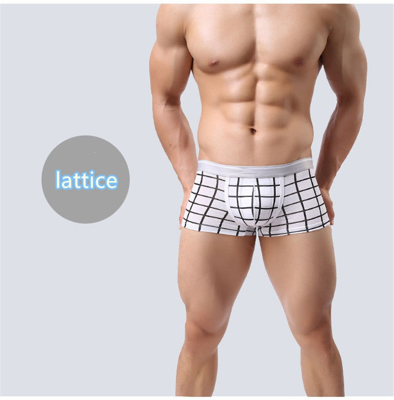 Boxer Estampado Lattice