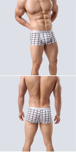 Boxer Estampado Lattice