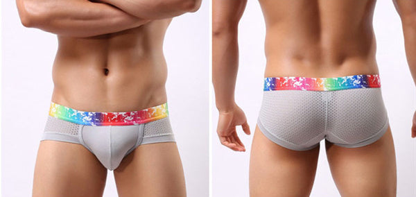 Banda Colors Briefs Light gray