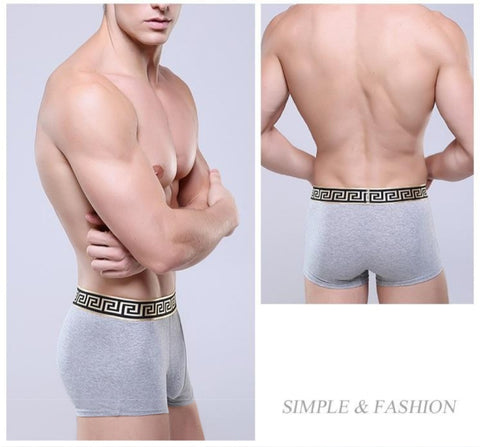 Boxer Men Sexy Gray